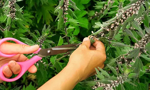 they should teach this in schools