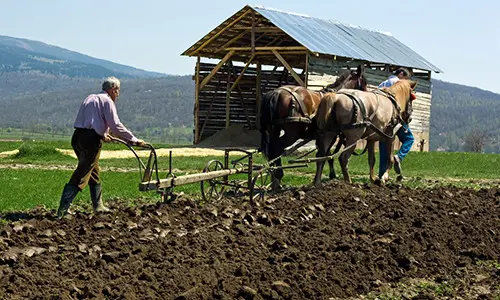 worst animals to raise