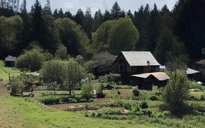 These 10 Types Of People Wouldn’t Last A Day Off Grid