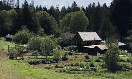 These 10 Types Of People Wouldn’t Last A Day Off Grid