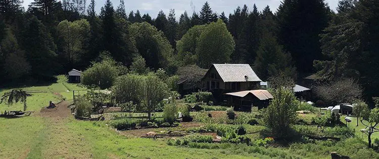 These 10 Types Of People Wouldn’t Last A Day Off Grid