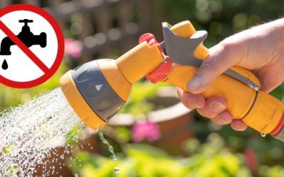 Water Ban: How To Keep Your Garden Growing