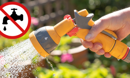 Water Ban: How To Keep Your Garden Growing