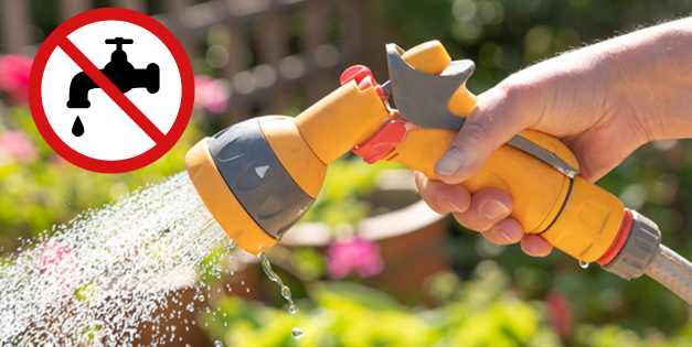 Water Ban: How To Keep Your Garden Growing