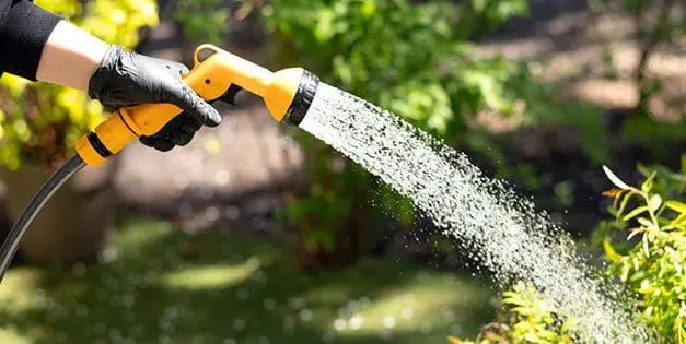 Watering Mistakes You Must Avoid This Summer