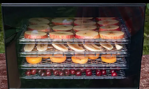 According To Real Homesteaders, You Should Do This Before Autumn Ends