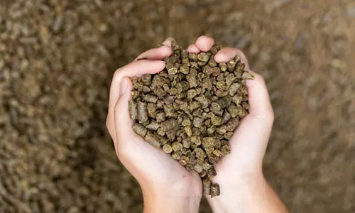 According To Real Homesteaders, You Should Do This Before Autumn Ends