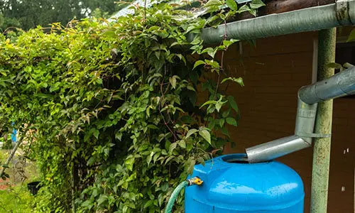 According To Real Homesteaders, You Should Do This Before Autumn Ends