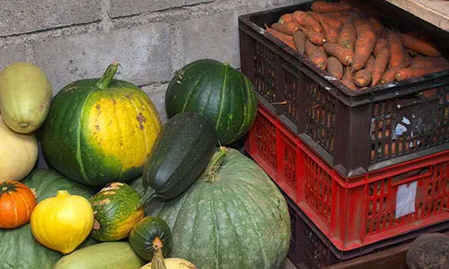 According To Real Homesteaders, You Should Do This Before Autumn Ends