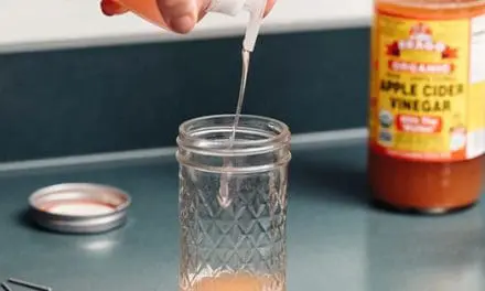 Ingenious Ways To Keep The Critters Out Of Your Pantry