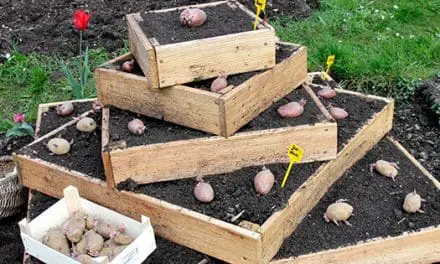 DIY Potato Tower