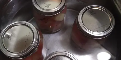 How To Pickle Watermelon Rind The Amish Way - boiling watermelon rinds