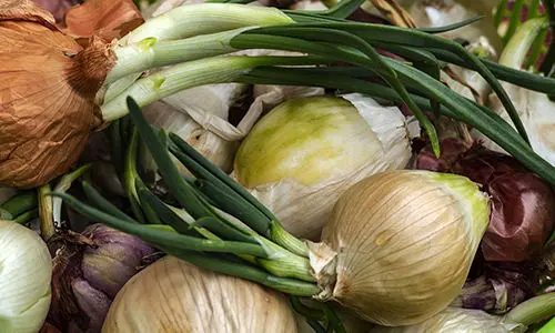 why you should bury a trash can in your backyard
