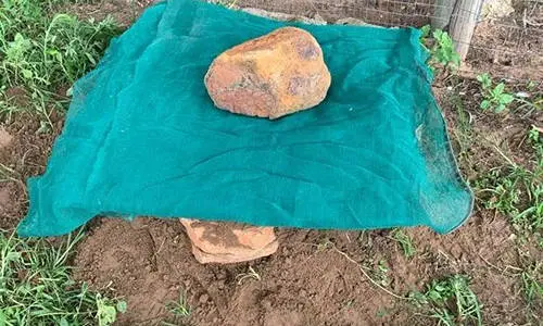 why you should bury a trash can in your backyard