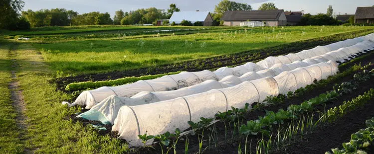 According To Real Homesteaders, You Should Do This Before Autumn Ends