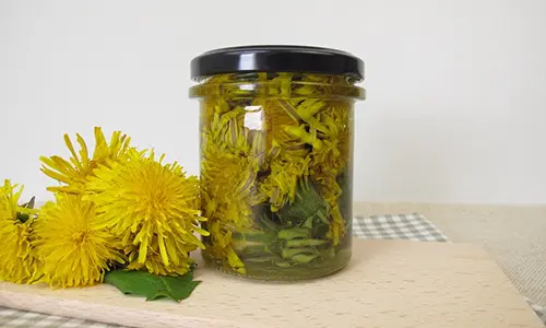 Dandelion Flower Infused Oil
