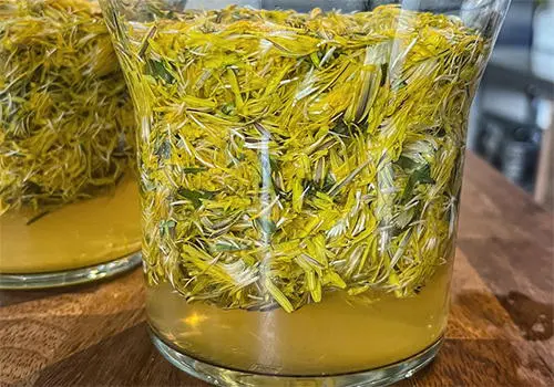 Dandelion Vinegar