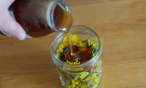 Dandelion-Infused Honey