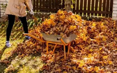 DO NOT Get Rid Of This