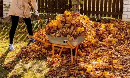 DO NOT Get Rid Of This