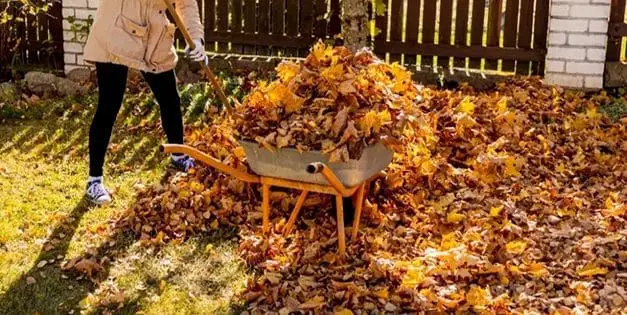 DO NOT Get Rid Of This