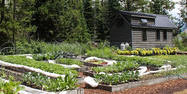 In 10 Years You Wish You’d Known This