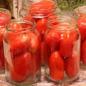 Tomato Preservation Recipes