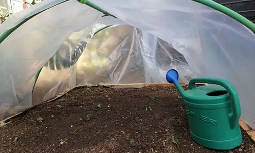 DIY Poor Man's Greenhouse