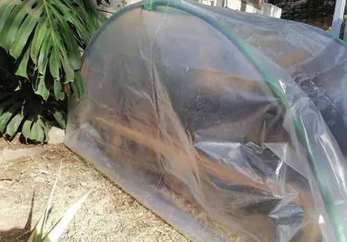 DIY Poor Man's Greenhouse