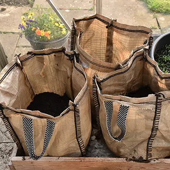 How To Grow An Endless Supply Of Potatoes