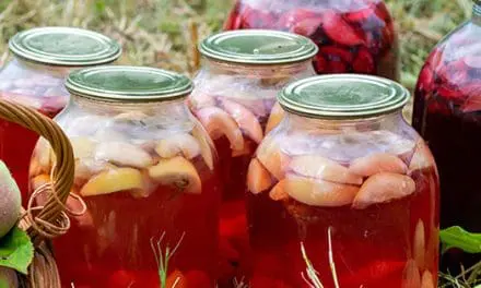 Long Lasting Apple Recipes to Make This Fall