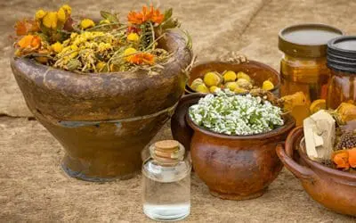 Natural Remedies From The Civil War Era