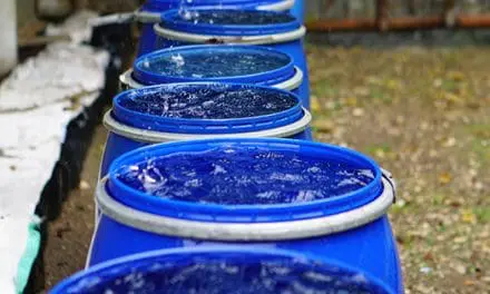 Read This Before Harvesting Rainwater