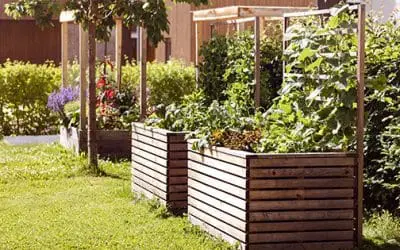Why I Stopped Using Raised Beds