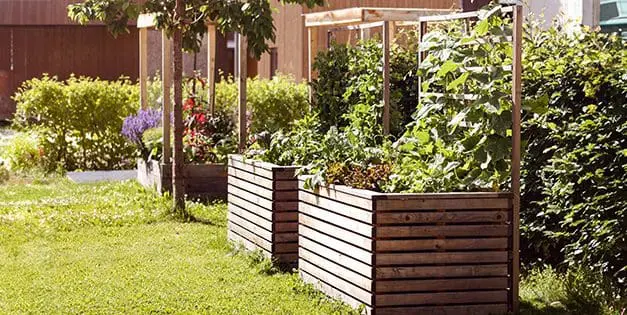 Why I Stopped Using Raised Beds