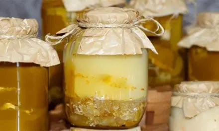 How To Make Long-Lasting Tallow For Survival