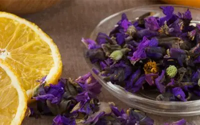 Natural Remedies From The Amish