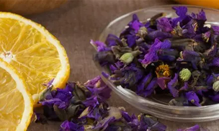 Natural Remedies From The Amish