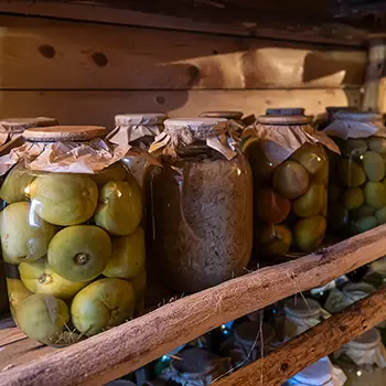 What Not To Do When You Go Off-The-Grid