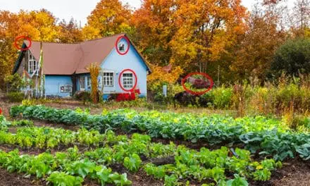 What Not To Do When You Go Off-The-Grid