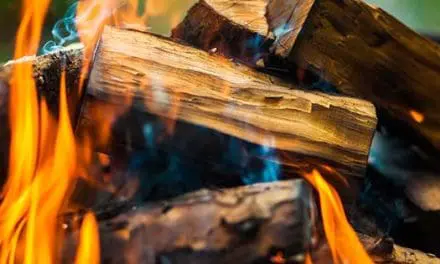 12 Types of Wood You Should Never Burn