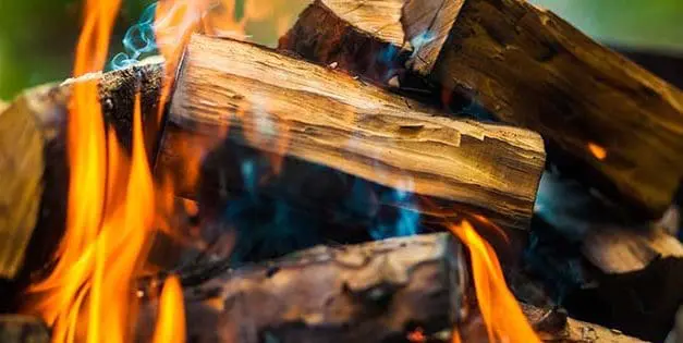12 Types of Wood You Should Never Burn