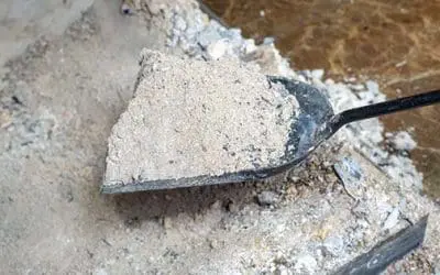 Don’t Throw Away Your Wood Ash! Do This Instead