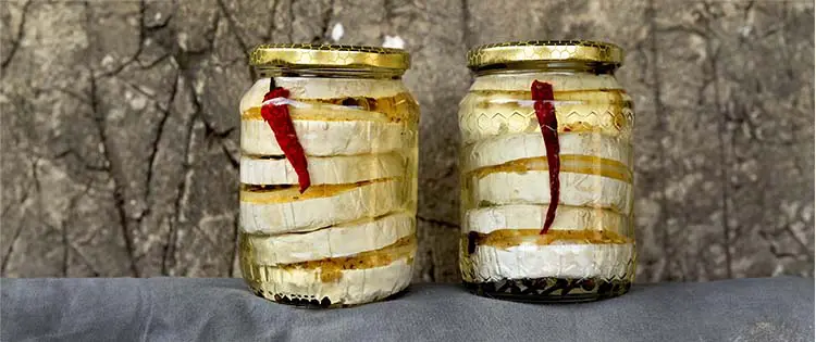 Ingenious Ways To Preserve Cheese At Home