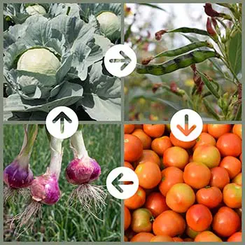 Native American Tips for Living Off the Land