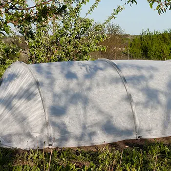 6 DIY Projects to Protect Your Plants From Frost