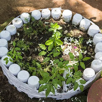 6 DIY Projects to Protect Your Plants From Frost