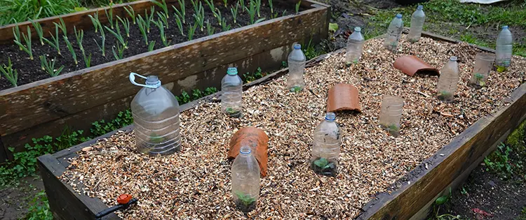 6 DIY Projects to Protect Your Plants From Frost