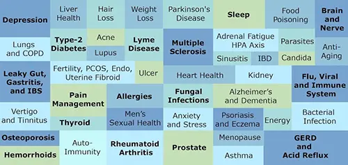 Have You Been Using Fake Honey?