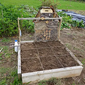 Square Foot Gardening 101